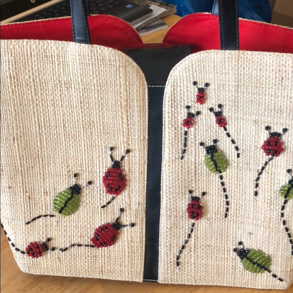 Ladybug Straw Purse